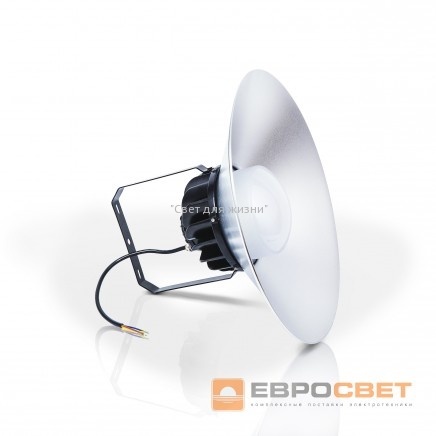 Світильник EVRO-EB-100-03 с расеивателем 120 000039020 фото